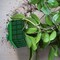 12 Pieces Floral Foam Cage Rectangle Flower Cage Holders with Floral Foam Flower Arrangement Supplies for Fresh Flowers Wedding Decorations 4.3 x 4.3 x 3.5 Inch